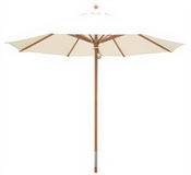 Market Umbrella images