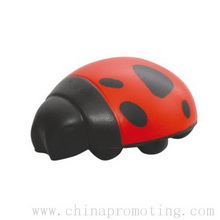 Stress Ladybird images