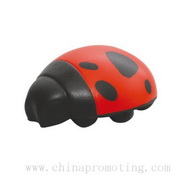 Stress Ladybird images