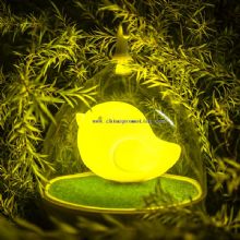 Led bird night lamp images