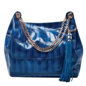ladies handbag images