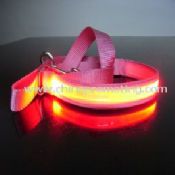 LED dog leash clip images
