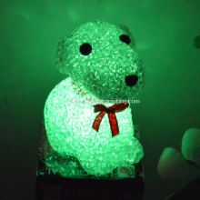 LED EVA DOG images