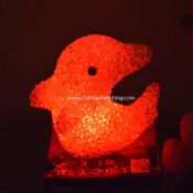 LED EVA Dolphin images