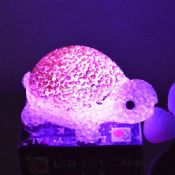LED EVA TORTOISE images