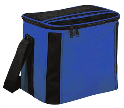 Esky Style Cooler Bag