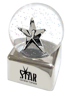 Silver Star Glitter Globe