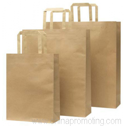 Large Paper Bag