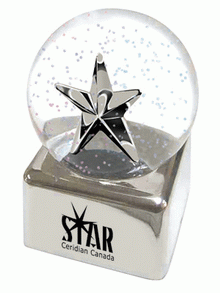 Silver Star Glitter Globe images