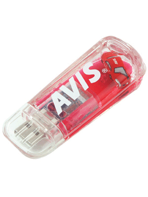 Multi-prise USB Flash Drive