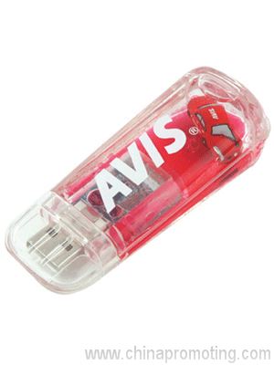 Multi-prise USB Flash Drive