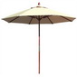 Pool Umbrella small picture