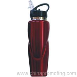 Stainless Steel Drink Bottle With Straw