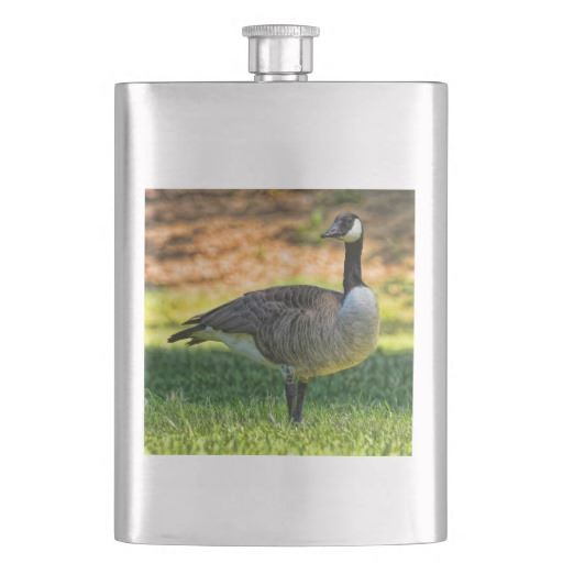 CANADA GOOSE ON GRASS FLASK