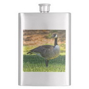 CANADA GOOSE ON GRASS FLASK images