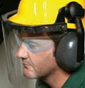 Face Shield/ Ear Muff Kit small picture