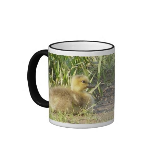 Bayi angsa Kanada / Gosling Mug