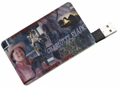 Stick de memorie Card de credit