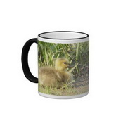 Baby Canada Goose / Gosling Mug images