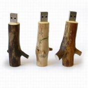 Wood USB blixt driva images