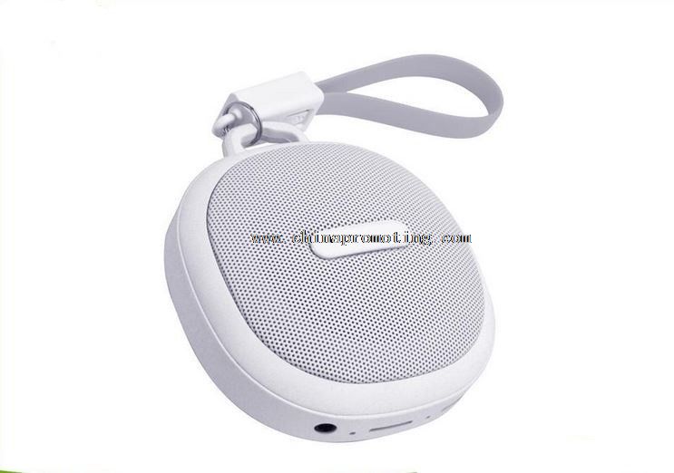 Mini digital speaker