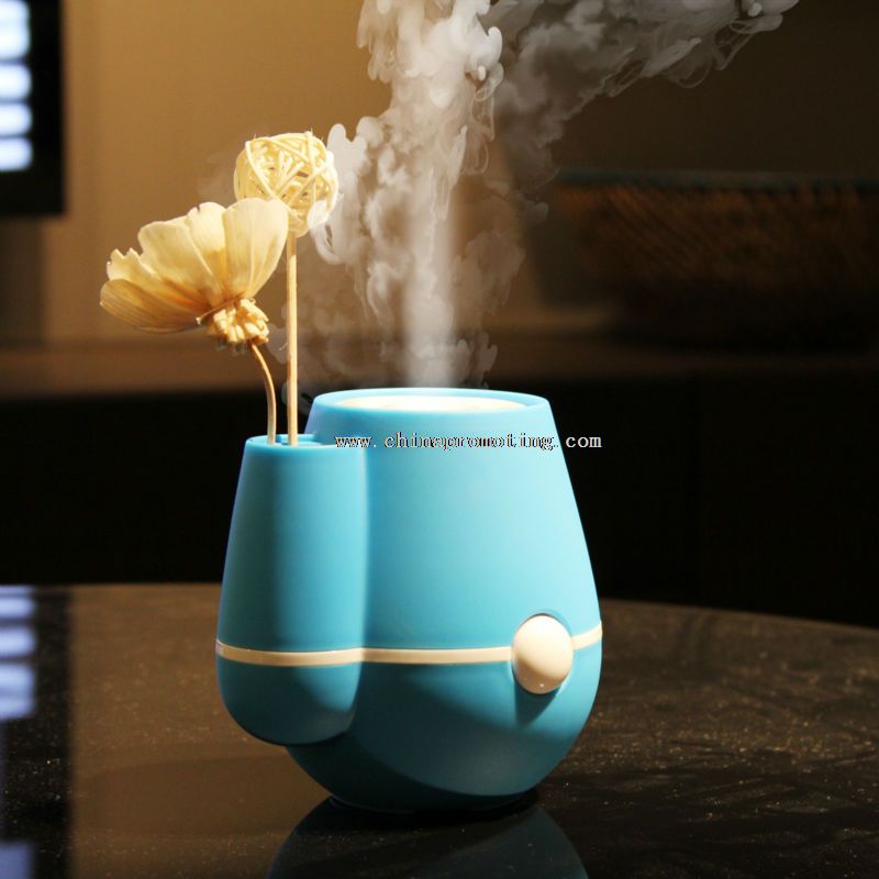 Mist steam humidifier