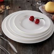 micro-wave ceramic round dinner plate images