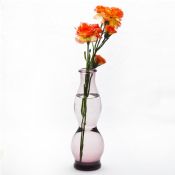 vaso di vetro di forma di Calabash images