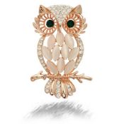 Pin floreale in cristallo Night Owl metallo Lapel Pin images