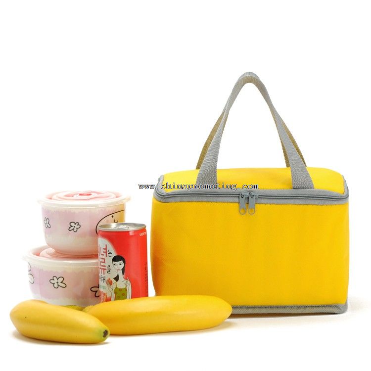 picnic lunch cooler bag