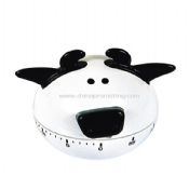 Mini Timer images