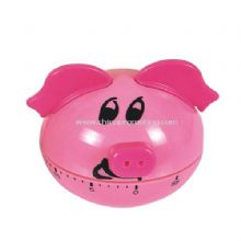 Pig Timer images