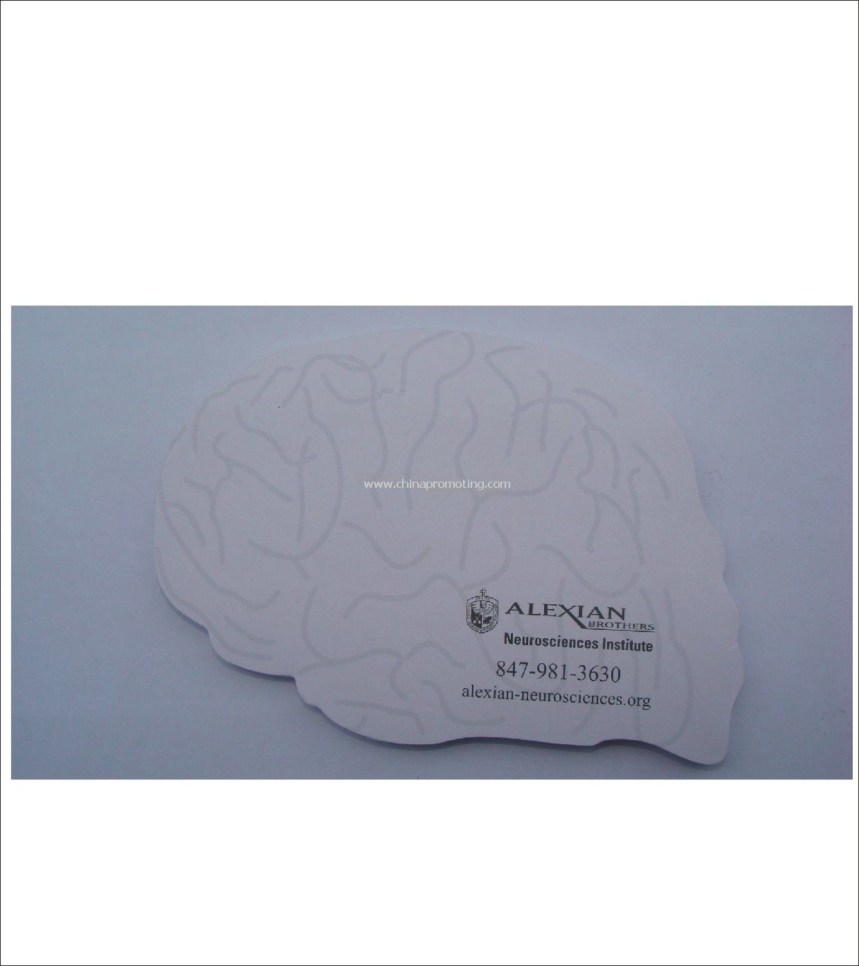 brain shaped sticky note pad