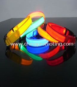 Dog collar LED