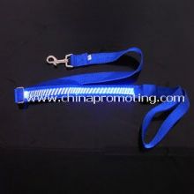 LED dog leash images