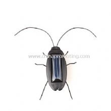 Solar Toy solar cockroach / bug / roach images