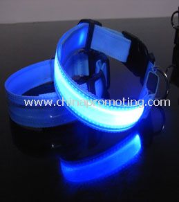 LED collar de perro