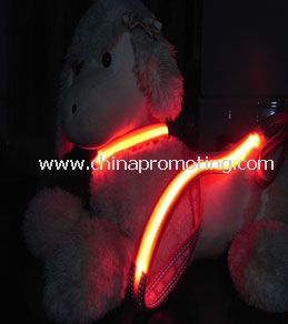 LED dog collar and leash