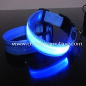 LED dog collar images
