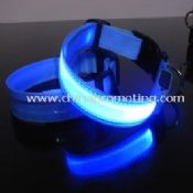 Collier pour chien LED images