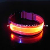 LED dog collar images