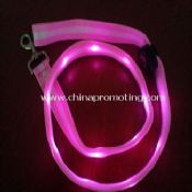 LED dog leash images