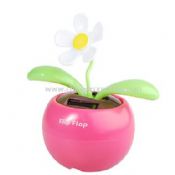 Solar Toy Dancing Flower images