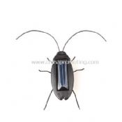 Solare scarafaggio solare giocattolo / bug / roach images