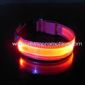 LED dog collar small picture