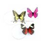 Papillon solaire de jouet small picture