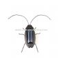 Barata solar de brinquedo solar / bug / roach small picture