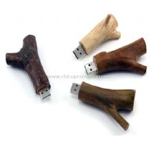 Wooden USB Flash Disk images