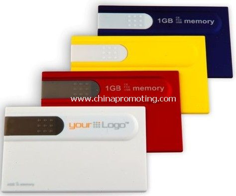 Logo Printed Card USB Flash Drive