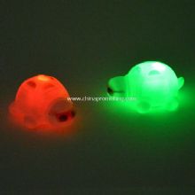 LED PVC Tortoise images